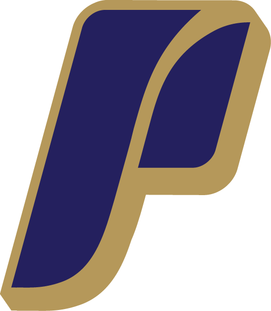 Portland Pilots 2006-Pres Alternate Logo iron on transfers for fabric